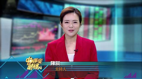 卫视中文台 - 搜狗百科