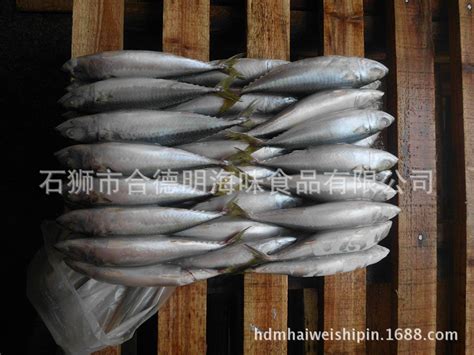 青花鱼是什么鱼 青花鱼的营养价值 - 装修保障网