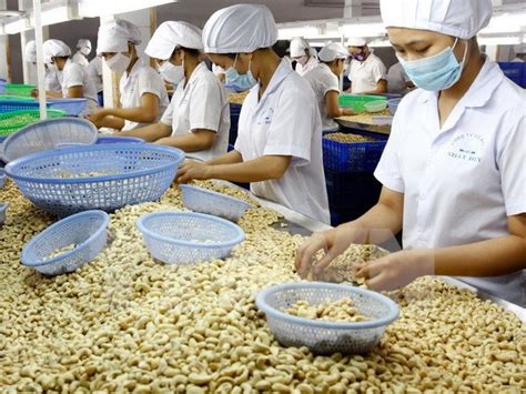 越南农产品生产及加工贸易投资与合作研讨会首次在日本和歌山县举行 | 经济 | Vietnam+ (VietnamPlus)