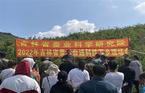 现场讲解 线上推广 吉林省蚕业科学研究院助力蚕民复工复产