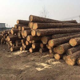 汇森木业-辐射松建筑木制材料订购-四川辐射松建筑木制材料_木质型材_第一枪