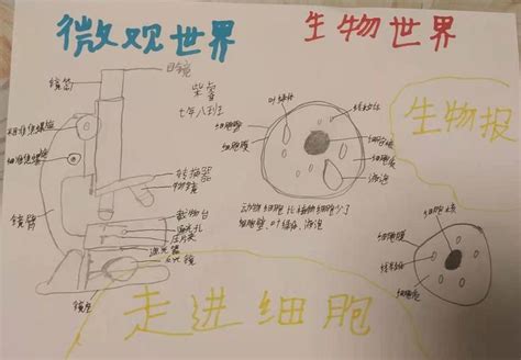 【学堂笔记】普通生物学笔记（纸质手写）-学堂在线-最大的中文慕课（mooc）平台