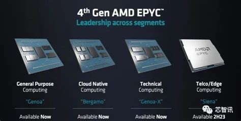 AMD推出全新第四代EPYC处理器：Zen 4c内核的Bergamo和拥有3D V-Cache的Genoa-X - 芯智讯