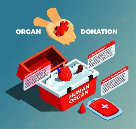 器官捐献公益海报|平面|海报|Yun_Fengfeng - 原创作品 - 站酷 (ZCOOL)