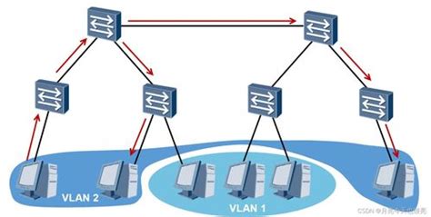 VLAN基础知识——使用VLAN设计局域网 - 俗鱼说