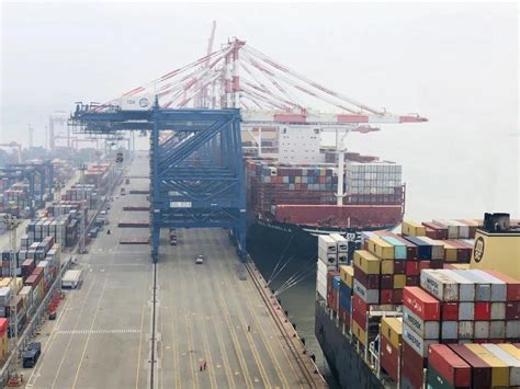 两艘世界最大集装箱船同日停靠厦门港-港口网