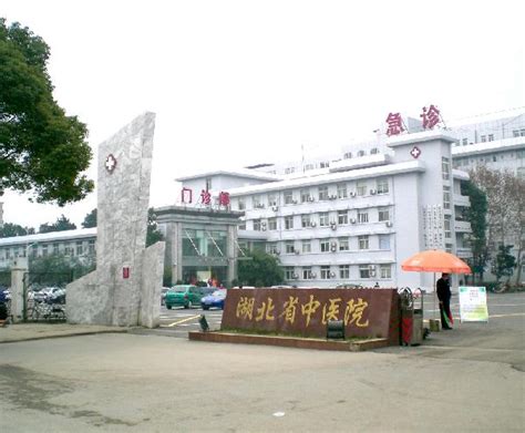湖北省中医院阳新分院正式挂牌-阳新县人民政府