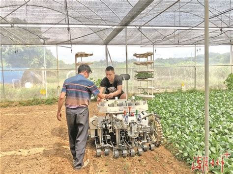 潮州市举办蔬菜机械化生产演示现场会 推广机械化种植 提高效率促增收