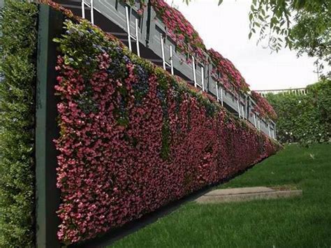 室外墙面绿化——“植物墙绿化”-室内软景-陕西源景园林有限公司|西安植物墙制作