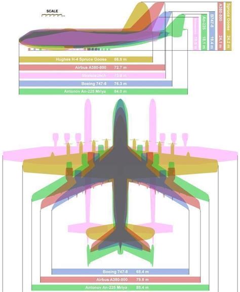 史上最大飞机：能飞越《2012》的世界末日，却毁于2022的战火_凤凰网