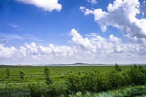 呼伦贝尔大草原：在壮阔无垠的草原上感受彻底的自由