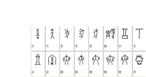 中国最早的文字——甲骨文