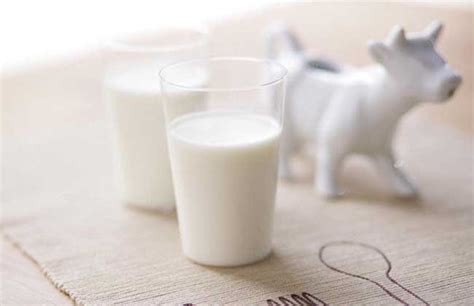 肾衰竭喝什么好?可以喝羊奶或者牛奶-肾衰竭饮食-复禾健康