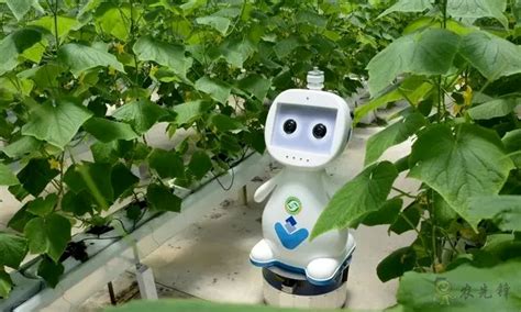 WX-0701S-农业温室大棚智能环境监控系统解决方案-山东万象环境科技有限公司