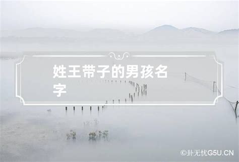王姓图腾设计图__传统文化_文化艺术_设计图库_昵图网nipic.com