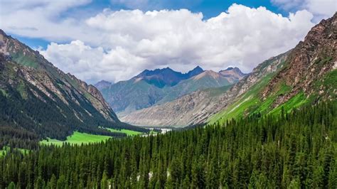 航拍中国新疆绿色的草原和天山山脉风光视频素材_ID:VCG2217053938-VCG.COM