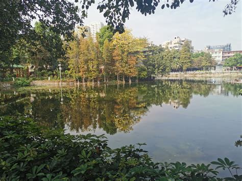 2019荔湾湖公园-旅游攻略-门票-地址-问答-游记点评，广州旅游旅游景点推荐-去哪儿攻略