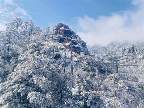 黄山迎来今冬首场降雪|游客,黄山,景区,看到,特别|头条