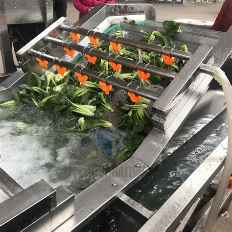 山野菜清洗机，鼓泡式蔬菜清洗设备 山东潍坊-食品商务网