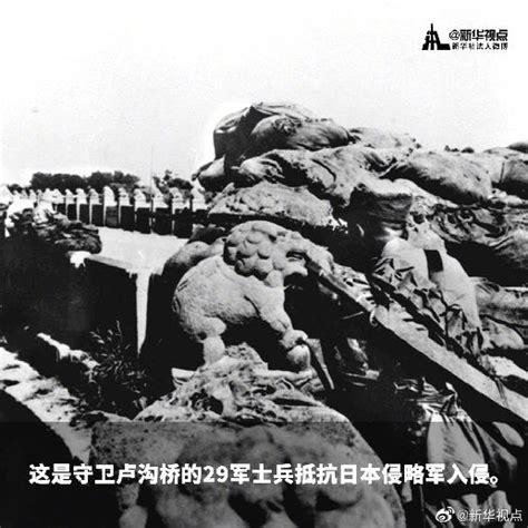 永不忘却的历史：南京大屠杀影像实录_大师作品-蜂鸟网