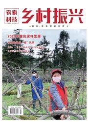 农家科技：乡村振兴 - 维普中文期刊
