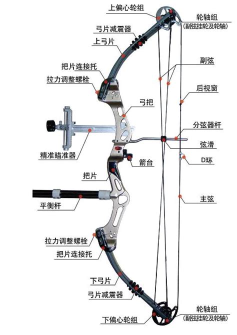 【射箭知识】复合弓和反曲弓结构箭矢的区别！-搜狐体育