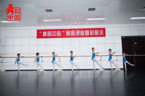 上海戏剧学院研修班：北京舞蹈学院潘志涛教授讲民族民间舞_石家庄天艺舞蹈培训中心
