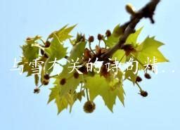 春天蓝天白云樱花树上的小鸟插画图片素材下载_jpg格式_熊猫办公
