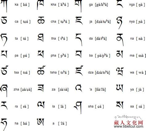 藏语学习全基础分享完整，学习藏文必看 - 知乎