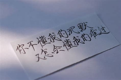 你懂的图片