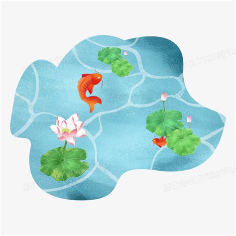 池鱼图片