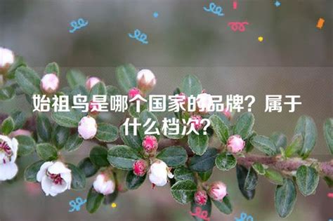 始祖鸟品牌什么档次？