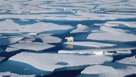 全球气候变暖将停止？地球将进入小冰河时代，到底有多冷？