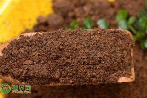氮肥是什么肥（常见氮肥的分类、肥料特性与正确使用方法） - 花晓网