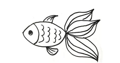 如何画鱼简笔画_海洋动物
