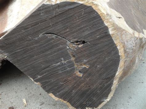 建筑非洲乌木 高密度乌木 耐腐蚀乌木原木 工艺品木材-阿里巴巴
