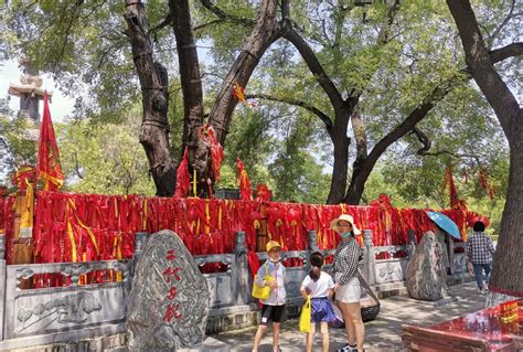 山西大槐树景区的根字影壁高清图片下载_红动中国