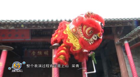 华人演绎桃园三结义#醒狮文化 #醒狮 #舞狮 红黑为关羽 绿黑为张飞