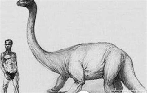 《侏罗纪世界2》：恐龙是只大蜥蜴？最新的发现可能颠覆你的想象……__凤凰网
