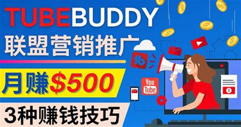 推广TubeBuddy联盟营销项目，完全免费的推广方法，轻松月赚500美元_阳叔网创