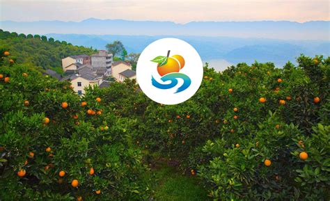 【重庆忠县柑橘文化节标志】 - 案例 - 美院团队南得设计 N.DESIGN