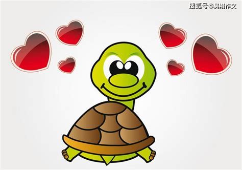 乌龟的故事 原创首发全国优秀作文选-搜狐大视野-搜狐新闻