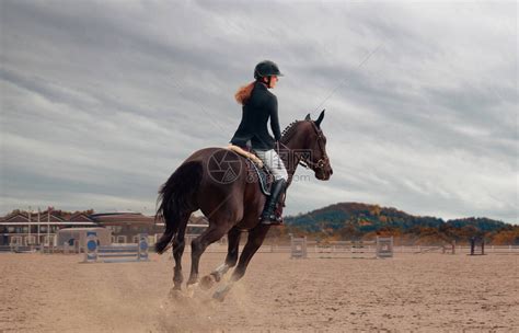 场内骑马的年轻女子高清图片下载-正版图片507677258-摄图网