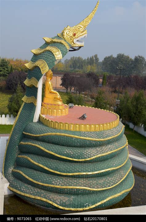 缅甸佛教的蛇神像高清图片下载_红动中国