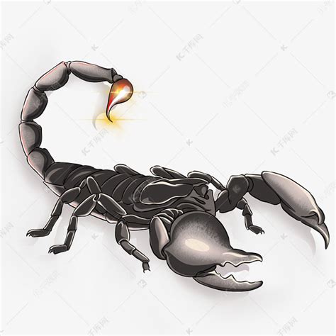蝎子头像非主流