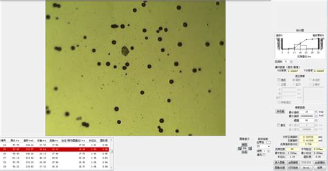 金相显微镜观察孔隙率分析步骤_化工仪器网
