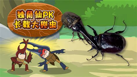 14.独角虫2(铁壳昆)虫属性~变硬原图片
