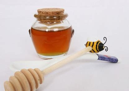 党参蜂蜜的功效与作用及食用方法 - 蜂蜜种类 - 酷蜜蜂