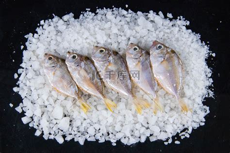 海鲜水产食材鲍鱼素材图片免费下载-千库网