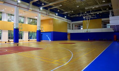 室内篮球场篮球馆SU---------------内容丰富详细，具有很高的学习价值，值得下载[原创]